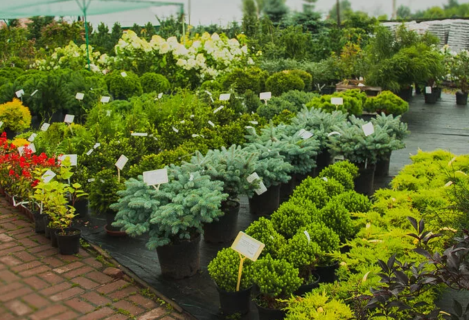 Team arranging plants in a bright store interior
